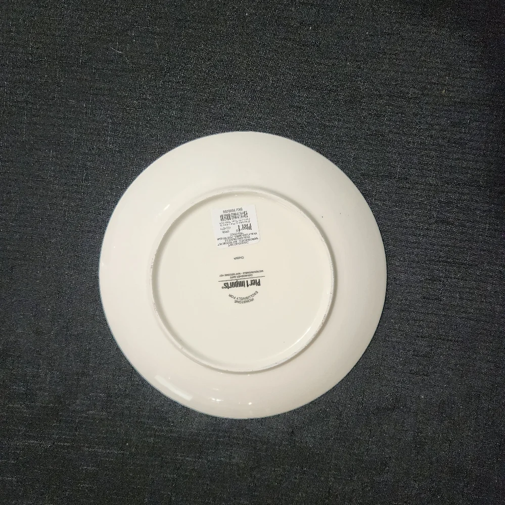 Pier 1 Imports Owl on a branch plate